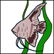 izojuba's Avatar