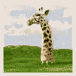 yfizydis's Avatar